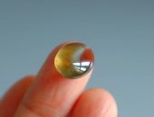 يساعد في تعزيز الذاكرة للطلاب.. استخدامات مختلفة لحجر عين القط 