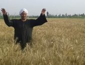 نقيب فلاحى دمياط: قرار الرئيس برفع أسعار القمح خطوة مهمة لتشجيع الفلاح
