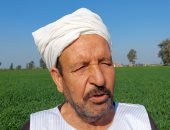 مزارعو الغربية: زيادة سعر توريد القمح منصفا وتشجيع لزيادة المساحة المنزرعة"فيديو"