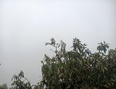 شبورة مائية على معظم قرى ومدن المنوفية 