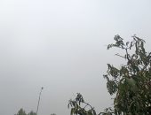 شبورة مائية على معظم قرى ومدن المنوفية والمرور يطالب بتوخى الحذر خلال القيادة