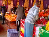 أسعار الخضراوات فى الأسواق اليوم.. سعر الطماطم من 6 إلى 9 جنيهات