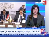 الاتحاد الديمقراطى لـ إكسترا نيوز: لجنة الحوار الوطنى وضعت أسسا بمثابة دستور