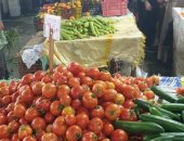 أسعار الخضراوات اليوم بسوق الجملة.. البطاطس بـ5.5 جنيه والطماطم بـ4 جنيهات