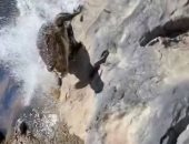 صياد ينجو بأعجوبة من هجوم تمساح فى أستراليا.. فيديو وصور