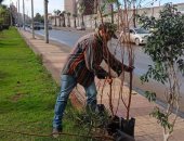 رفع كفاءة المسطحات الخضراء بالمنتزه ضمن مبادرة "100 مليون شجرة" بالإسكندرية