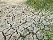 تقرير: 14.6% من أراضى إسبانيا الزراعية فى حالة طوارئ بسبب الجفاف