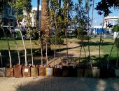 محافظ الإسكندرية: زراعة 46696 شجرة منذ بداية تنفيذ المبادرة بنطاق أحياء الثغر