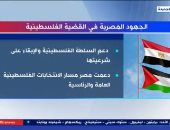 تقرير تليفزيونى حول "الجهود المصرية فى القضية الفلسطينية"
