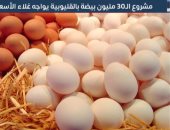 جهود الدولة فى مواجهة التضخم.. مشروع الـ30 مليون بيضة بالقليوبية يواجه غلاء الأسعار