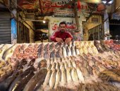 سوق السمك الجديد بشمال سيناء واجهة حضارية لعرض خيرات البحر المتوسط والبردويل