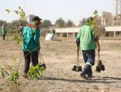 هيئة نظافة القاهرة تزرع 2500 شجرة مثمرة فى جامعة حلوان.. صور