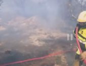 حريق يأكل نحو 110 هكتارات من النباتات فى إقليم بوش دى رون الفرنسى