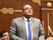 نائب التنسيقية عمرو حجاج يطالب بتعديلات تشريعية لمواجهة ظاهرة العنف الأسرى