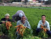 الصادرات الزراعية تحقق طفرة غير مسبوقة وتقترب من 8 ملايين طن خلال 2025