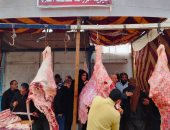 افتتاح منفذ بيع اللحوم بأسعار مخفضة فى البحيرة.. البلدى بـ170 جنيها 