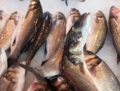 أسعار الأسماك فى مصر اليوم الأربعاء بسوق الجملة
