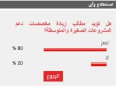 80% من القراء يطالبون بزيادة مخصصات دعم المشروعات الصغيرة والمتوسطة