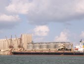 ميناء دمياط يستقبل 16 سفينة متنوعة خلال 24 ساعة