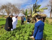 وفد وزارة الزراعة السعودية يزور حقول الكينوا بمشاركة مركز بحوث الصحراء