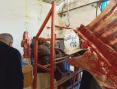 الجيزة تقيم منفذا لبيع اللحوم البلدية بـ165 جنيها بالواحات البحرية