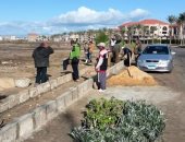 تطوير ممشى اللسان ومدخل شارع النخيل وموقف المدينة والحدائق برأس البر.. صور