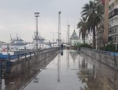 شبورة وطقس بارد.. الأمطار تفرض سيطرتها على عدد من المحافظات