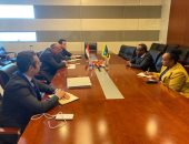 وزير الخارجية يبحث مع وزير خارجية رواندا تطورات الأوضاع فى شرق الكونغو