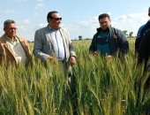 1000 فدان زيادة فى زراعة القمح بدمياط الموسم الحالى.. نقيب الفلاحين بالمحافظة: قرار الرئيس شجعنا وأساليب الزراعة الحديثة أثرت بشكل إيجابى على الإنتاج.. ويكشف أهم فوائد زراعة المصاطب للمزارع ولتوفير المياه.. صور