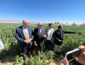 وزير الزراعة ومحافظ جنوب سيناء يتفقدان معرض السلع ومعصرة الزيوت.. فيديو وصور
