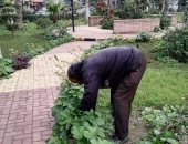 رفع كفاءة حدائق السيوف بالمنتزة ضمن مبادرة" 100 مليون شجرة "بالإسكندرية
