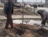 رفع كفاءة حديقة قرية أطفال العامرية ضمن مبادرة" 100 مليون شجرة "بالإسكندرية