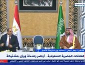 مساعد وزير الخارجية الأسبق: العلاقات المصرية السعودية قديمة وراسخة