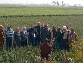 ‫"الزراعة" تتفقد الجمعيات الزراعية بسوهاج وتتابع عمليات الحصر وتدقيق مساحات القمح