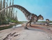 اكتشاف بصمة مخلوق عملاق على ساحل الديناصورات فى المملكة المتحدة.. صور