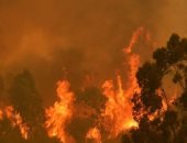 تجدد حرائق الغابات في تشيلى وإجبار عدة بلديات على الإخلاء.. صور