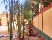 محافظ أسوان يشيد بجهود المجتمع المدنى فى تنفيذ مبادرة زراعة 100 مليون شجرة