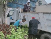 رئيس مدينة نبروه بالدقهلية يطلق مبادرة "ازرع شجرة" بالشوارع