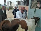 جامعة الزقازيق توجه قافلة بيطرية بقرية كفر العلماء مركز فاقوس