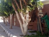 الأقصر تزرع شتلات أشجار مثمرة أمام المدارس بقرى مدينة إسنا.. صور