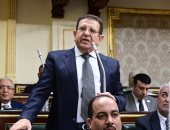 برلمانى: المشاركة الكثيفة للمصريين فى الانتخابات الرئاسية رسالة قوية للعالم