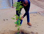 زراعة أشجار مثمرة ببني حرام بمركز ديرمواس ضمن مبادرة "100 مليون شجرة"