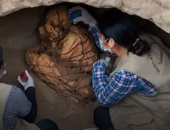 العثور على مومياء عمرها 800 عام داخل حقيبة لص فى بيرو.. فيديو