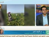 مدير الزراعة بالشرقية: زرعنا 90 ألف فدان بنجر سكر فى الموسم الحالى