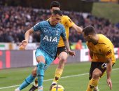 توتنهام يسقط أمام وولفرهامبتون بهدف فى الدوري الإنجليزي.. فيديو