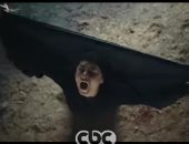 عركة حياة أو موت بين نيللى كريم وأسرة جمال سليمان فى برومو عملة نادرة