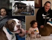 كلب صيد ينقذ طفلة صغيرة من حريق بمنزلها في ديترويت الأمريكية