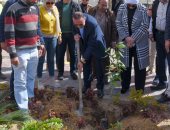 استلام 200 ألف شجرة فى الإسكندرية ضمن مبادرة الرئيس السيسى.. صور