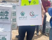 "حياة كريمة": انطلاق مبادرة "كتف فى كتف" من جنوب سيناء لتوزيع 400طن مواد غذائية