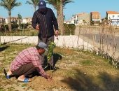 زراعة 300 شجرة مثمرة فى شوارع رأس البر بدمياط ضمن مبادرة "100 مليون شجرة"